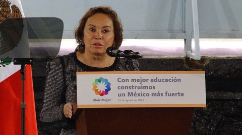 Elba Esther Gordillo ha sido una de las figuras políticas más poderosas y temidas en México que creció políticamente como militante del Partido Revolucionario Institucional (PRI), del cual fue expulsada tras apoyar la fundación de otro grupo político, Nueva Alianza.