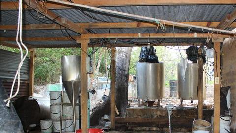 Las autoridades acudieron inmediatamente y los policías que hacían la revisión en uno de los terrenos detectó un fuerte olor a químicos, por lo que revisaron una bodega y encontraron a los animales.