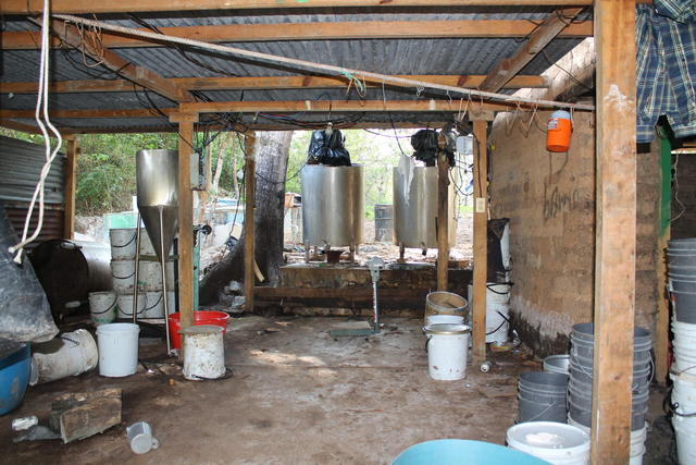 Las autoridades acudieron inmediatamente y los policías que hacían la revisión en uno de los terrenos detectó un fuerte olor a químicos, por lo que revisaron una bodega y encontraron a los animales.