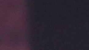 Christina Aguilera reconoció que su familia sufrió violencia doméstica por parte de su padre, y participa en “Women's Center & Shelter” de Pittsburgh, un centro que protege a mujeres que han sufrido abusos.