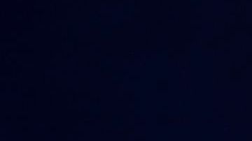 El Arzobispo de Nueva York, cardenal Timothy Dolan.