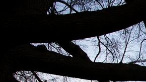 La Cámara baja aprobó un proyecto de ley que evita el cierre temporal de agencias federales.