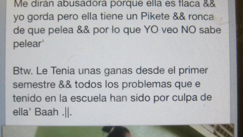 Imagen del mensaje que la agresora publicó en la red social Facebook y que luego borró, pero era muy tarde.