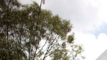 A la entrada de "La Piedrita" se ve este mensaje en defensa de la revolución.