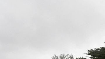 El apoyo a mantener el dominio británico llegaría al 90 por ciento.