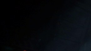 David Bisbal  no decepcionó a los asistentes a su concierto en West Hollywood.