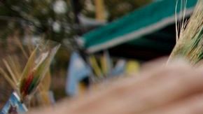 "Si no me caso con vos, me hago cura", le dijo un día Bergoglio a Amalia.