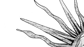 karikatur für tribüne-neue sonne am katholischen himmel