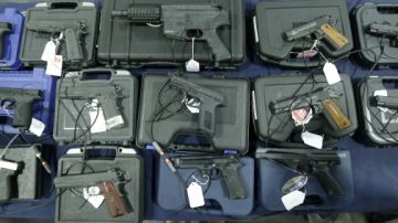 En febrero pasado  el grupo que trabaja para prevenir la violencia con armas presentó 14 proyectos de ley sobre el tema.