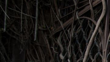 Entre las leyendas de la música latina quienes cantan a dúo con Draco en este disco se encuentren Juan Luis Guerra, Maná y Marc Anthony.