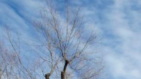 Las identidades de los fallecidos no fueron reveladas ya que se espera la notificación de sus familias.