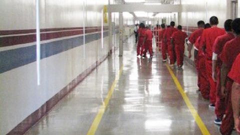 De los 2,228 inmigrantes indocumentados que  fueron liberados, 28 fueron recapturados por agentes del ICE.