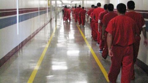 De los 2,228 inmigrantes indocumentados que  fueron liberados, 28 fueron recapturados por agentes del ICE.