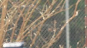 El brigadier general James Lukeman ofreció los detalles de lo ocurrido en la base en Nevada.