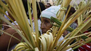 Se inician actividades de Semana Santa en Honduras con la venta de ramos en los templos.