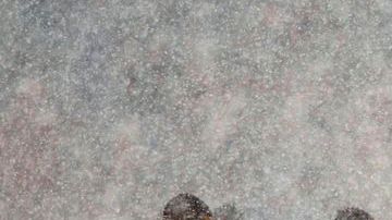 La nevada fue tan intensa que hasta los jugadores ayudaron a los trabajadores a limpiar el terreno de juego.