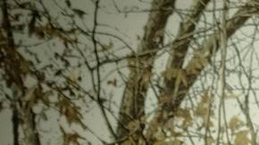 El grupo colombiano Bomba Estéreo tocará el 1 de abril en The New Parish de Oakland.