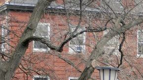 Los trabajadores manifestaron su postura.