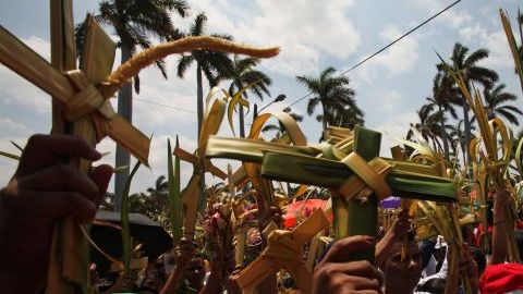 Miles de feligreses católicos, con ramas de palmera en las manos, marchan en romería hacia la Catedral Metropolitana de Managua.