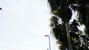 La espera en garitas como las de San Isidro (foto) puede llegar a las cinco horas.