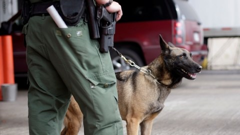 Agentes de la Patrulla Fronteriza y Aduanas vigilan,  con perros de la unidad K-9, una estación de  control   en Falfurrias, Texas. Abajo, el agente Sheldon Cooper monitorea  el  Puente Internacional en  Buffalo, Nueva York.