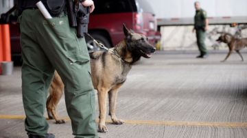 Agentes de la Patrulla Fronteriza y Aduanas vigilan,  con perros de la unidad K-9, una estación de  control   en Falfurrias, Texas. Abajo, el agente Sheldon Cooper monitorea  el  Puente Internacional en  Buffalo, Nueva York.