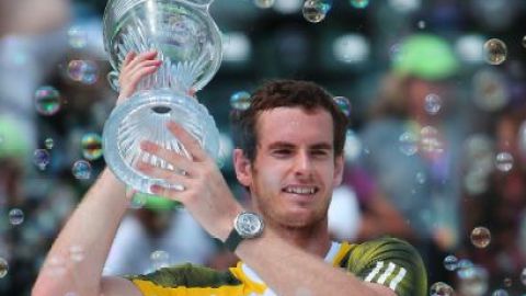 Murray despertó y logró la remontada para imponerse al tenista español David Ferrer.