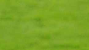 El seleccionador italiano Césare Prandelli desea un Italia - Argentina en Roma para dedicarlo al Papa Francisco.