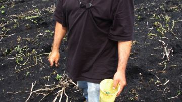 Felix Gonzalez del Fresh Radish Farm es un agricultor del programa CSA.