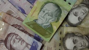 Billetes de bolívares venezolanos.