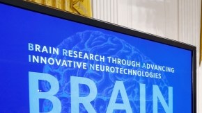 El presidente Obama anunció la iniciativa con la que se pretende lograr un mapa del cerebro humano.