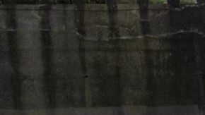 Gansos son  bañados con una manguera por un trabajador.