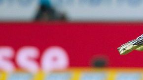 Heurelho Gomez es baja para el Hoffenheim el resto de la temporada en la Bundesliga.