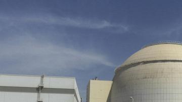 La planta nuclear inició operaciones en 2010