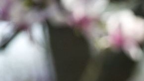 El Presidente explicó este miércoles su plan presupuestal.