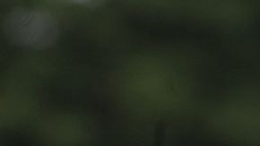 La investigación de Edwards levantó polémica en su momento.