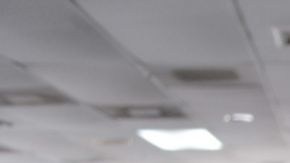 Florida concentra la mayor cantidad de venezolanos en EEUU.