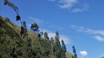 Un autobús se salió de una carretera en los Andes en Perú y cayó por un barranco causando la muerte de 27 personas.