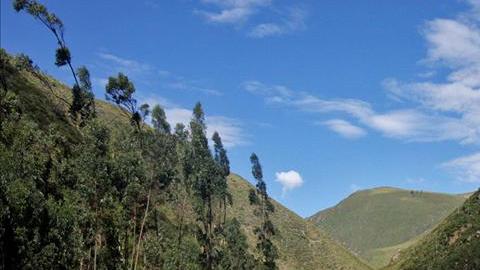 Un autobús se salió de una carretera en los Andes en Perú y cayó por un barranco causando la muerte de 27 personas.