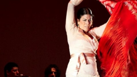 Carlota Santana en una de sus actuaciones.