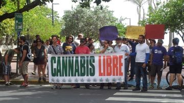 Manifestantes se mostraron a favor del uso de la marihuana en Puerto Rico.