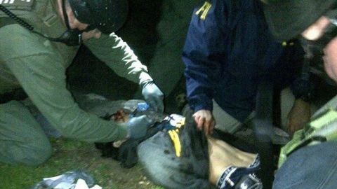 Imagen de Dzhokhar Tsarnaev cuando fue arrestado el pasado viernes, en la que se ve parte de las heridas en su cara.