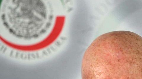 La Policía Federal sólo actuará si se le requiere.