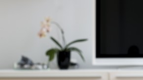 Se espera que la empresa llegue en los próximos meses a Chicago, Filadelfia y Washington.