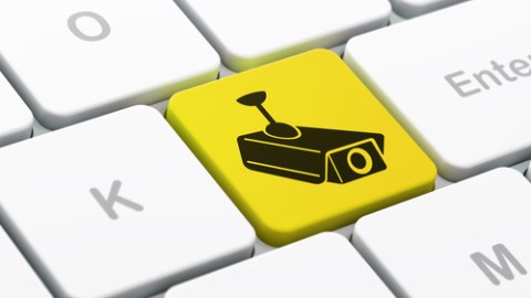 Los piratas sostienen que los recursos intelectuales no son aprovechados de manera eficaz ya que están bajo el monopolio de estados y corporaciones.