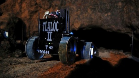 Los nuevos arqueólos: un robot motorizado y una insecto a control remoto.