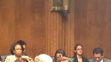 Los senadores tendrán dos semanas para estudiar la propuesta.