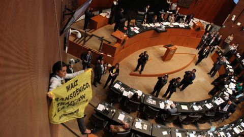 La activista bajó de uno de los balcones públicos ante la sorpresa de los senadores.
