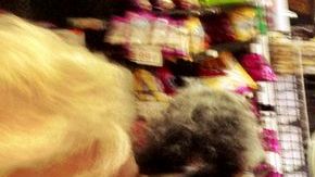 La actividad económica había crecido a un ritmo anual del 0,4 % entre octubre y diciembre.