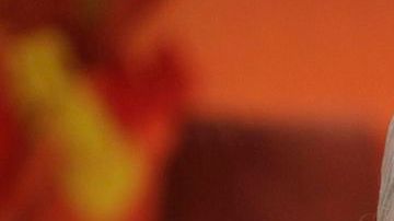 Havelange está implicado en el megaescándalo de corrupción al interior de la FIFA.